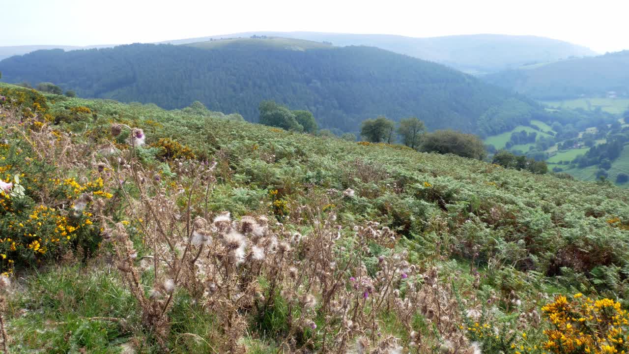 안개가 자욱한 아침 산골짜기 시골의 경치 좋은 하이킹 시골을 가로지르는 풍경 보기 느린 돌리 왼쪽 이동
