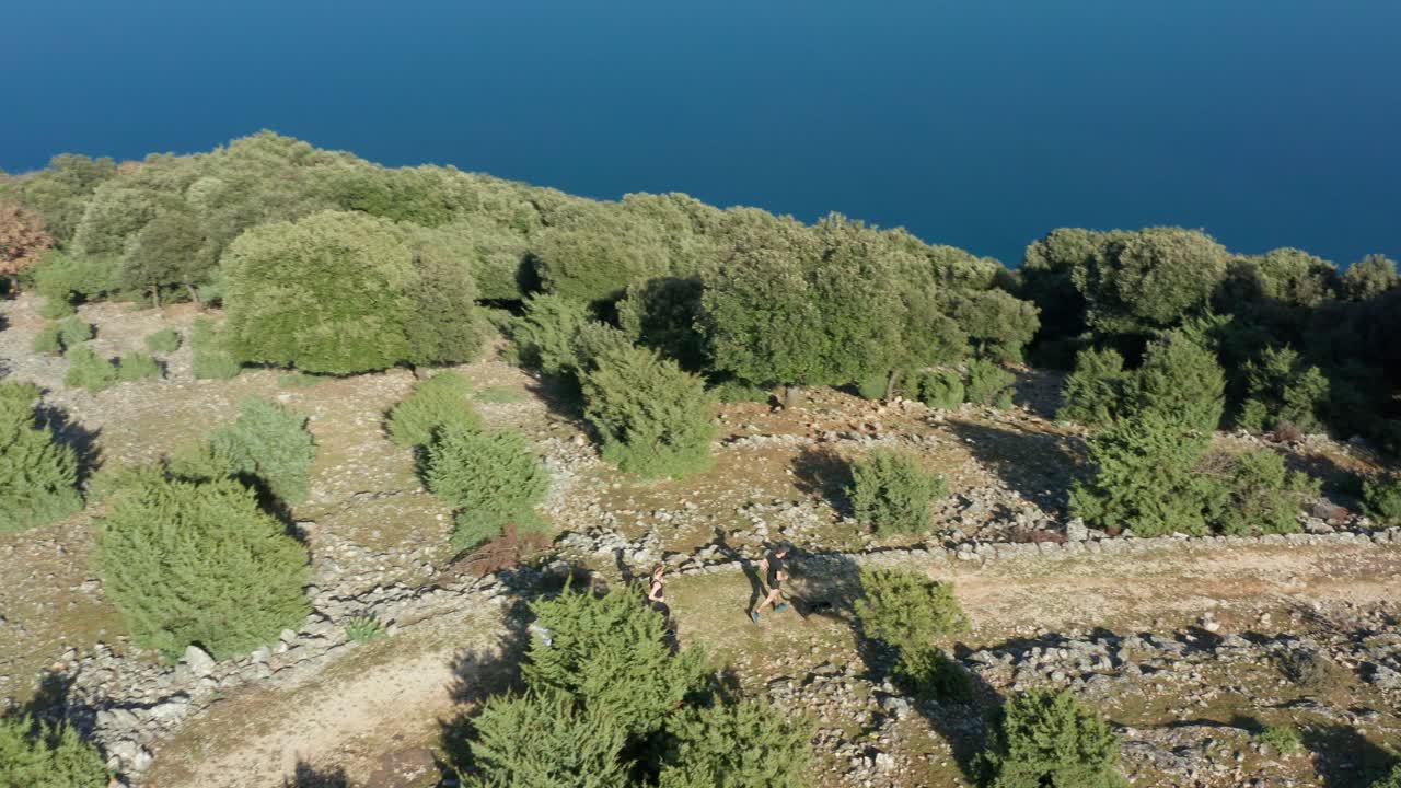 люди, бегущие с собаками по прибрежной тропе, 4k аэрофотосъемка с отслеживанием