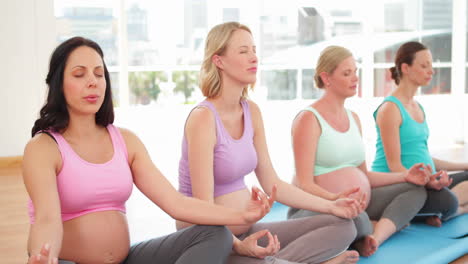 mujeres embarazadas haciendo yoga en un estudio de fitness