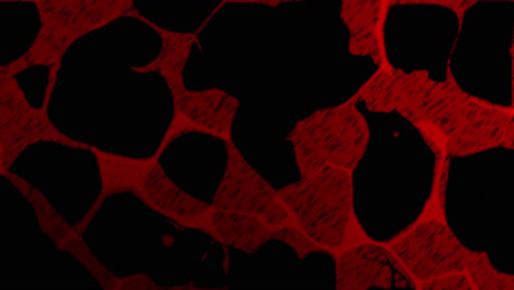 animation of red african cartoon-style pulsing background