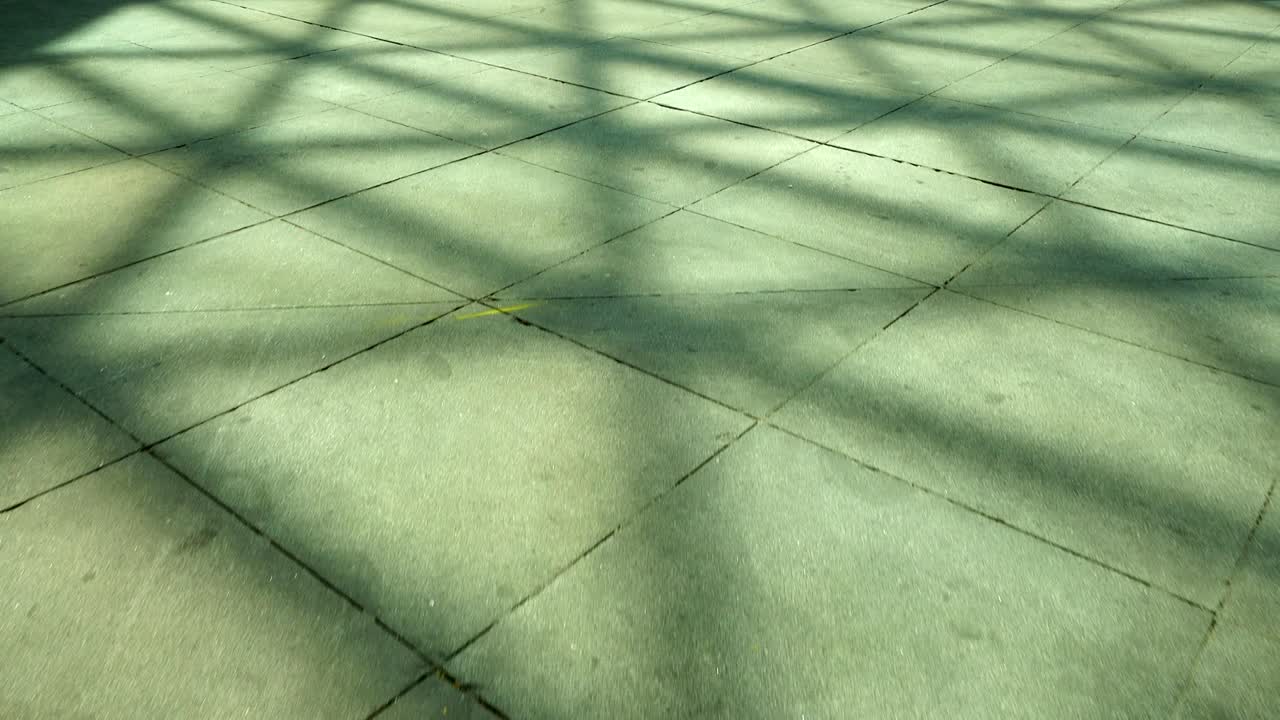 la luz y las sombras, la arquitectura.