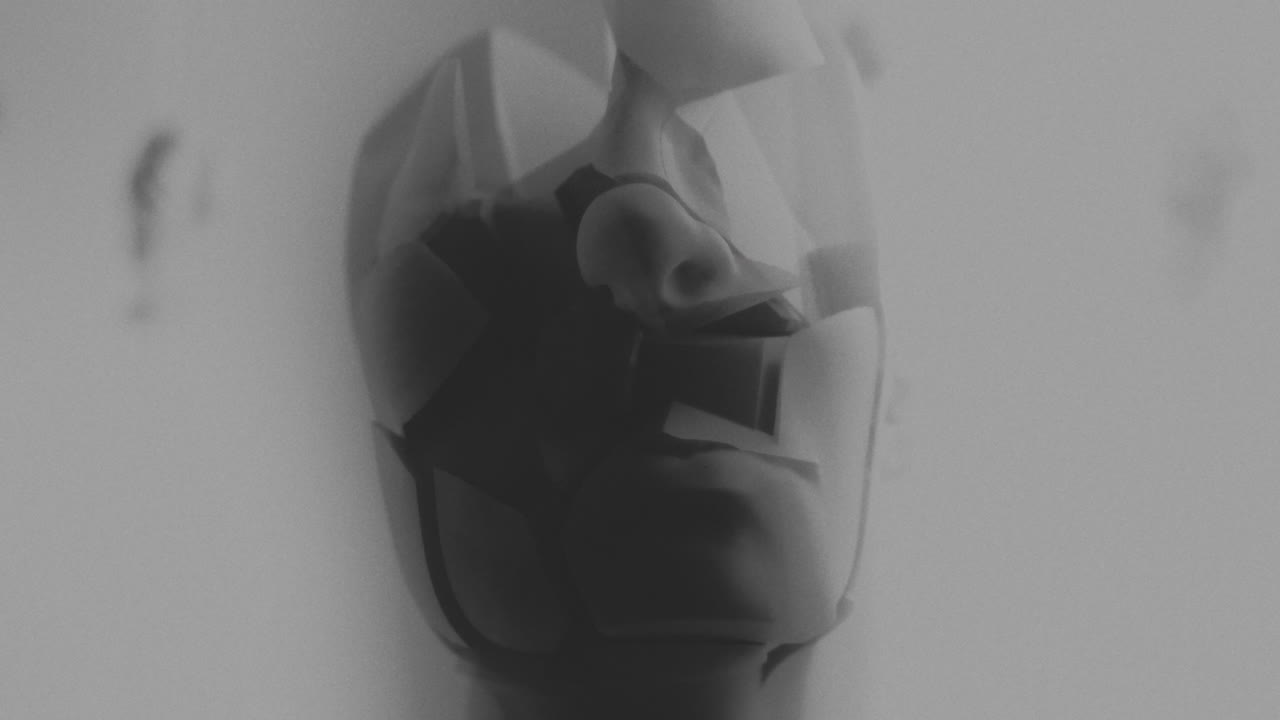 Broken mannequin head shells in xray