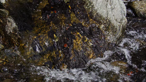vista de cerca de agua clara cayendo sobre las rocas en un río