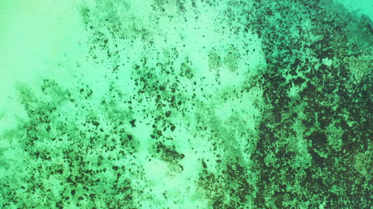 Beautiful pattern of coral reefs under calm warm clear water of turquoise lagoon near white sandy beach in Malaysia