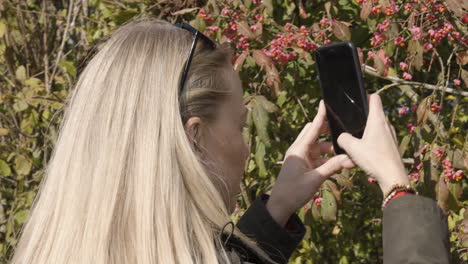 woman photographing berries with smartphone