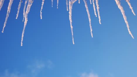 icicles against a clear blue sky