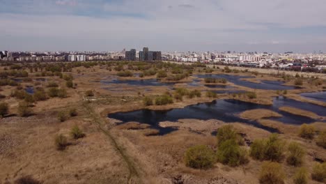 vista aérea del parque natural cerca de la gran ciudad