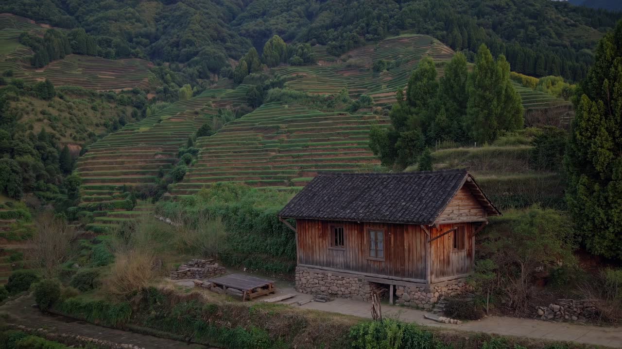 Warm light emanating from a charming wooden hut nestled amidst the terraced tea plantations, creating a serene scene in the picturesque landscape of China, where tradition meets nature's beauty
