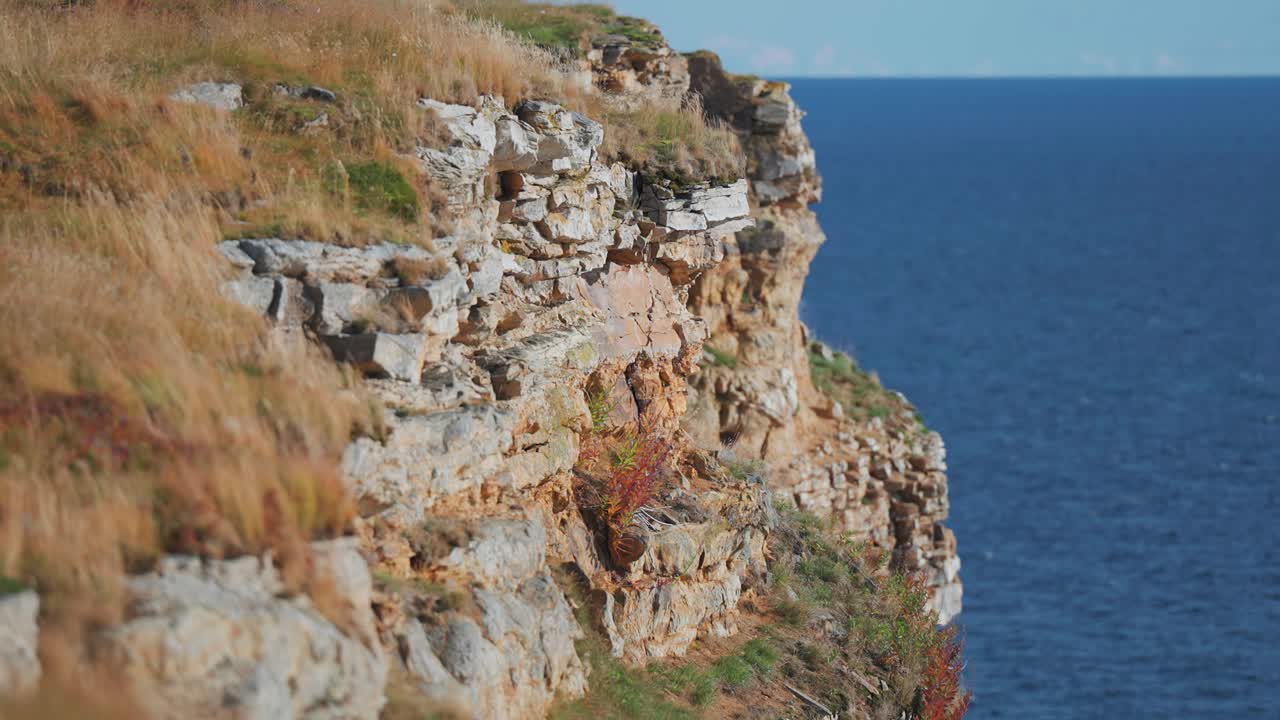 acantilados rocosos cubiertos de hierba suave torre por encima de la costa del fiordo