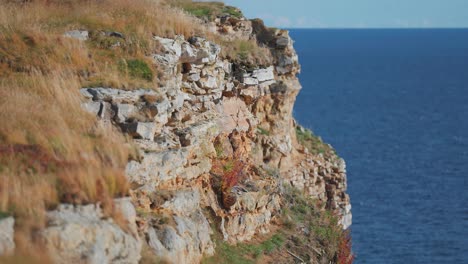 Acantilados-Rocosos-Cubiertos-De-Hierba-Suave-Se-Elevan-Sobre-La-Costa-Del-Fiordo