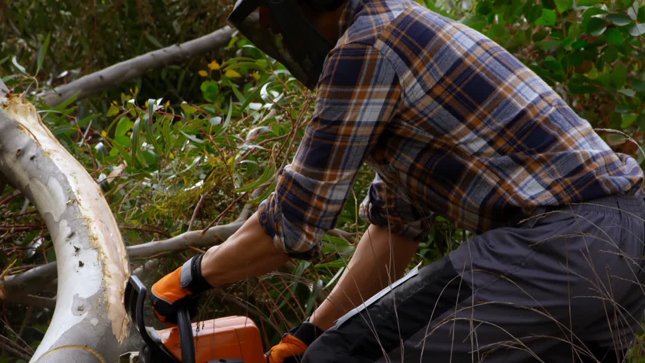 leñador cortando árbol caído en el bosque 4k