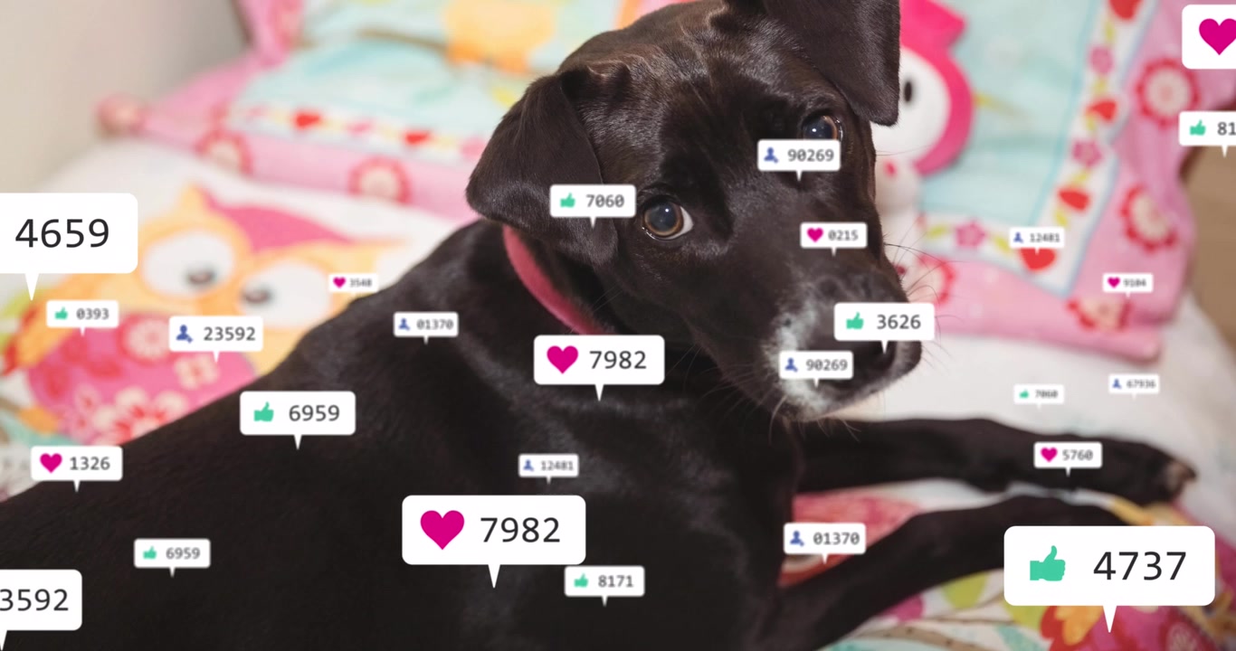 Animated social media and emoji icons depict global digital connectivity.