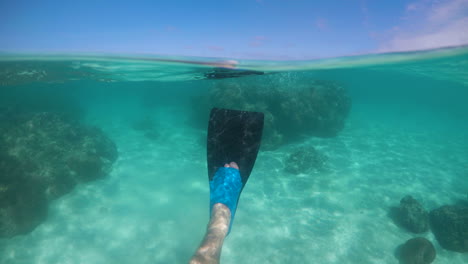 over under shot of backstroke snorkelling in rarotonga