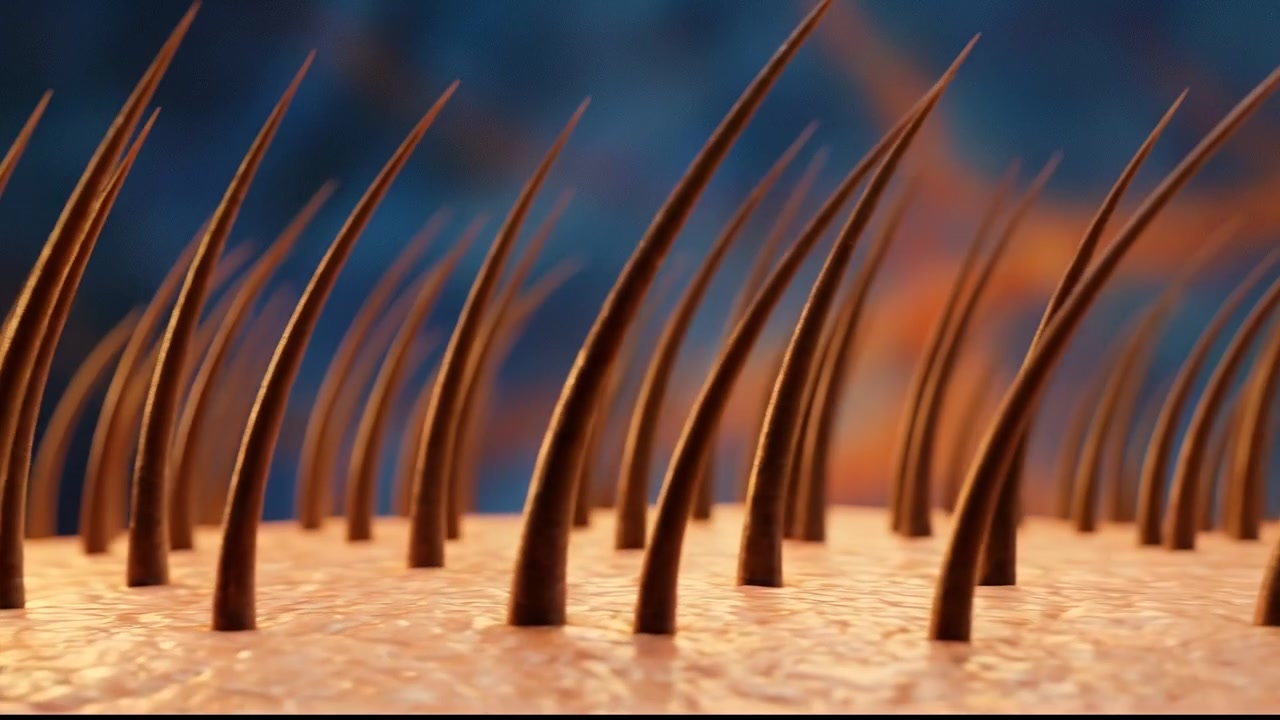 Detailed hair follicle medical render with biological structures