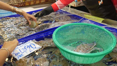 Cangrejo-De-Flor-Azul-Fresco-Crudo-Vivo-En-El-Mercado-De-Pescado-De-Tailandia-A-La-Venta