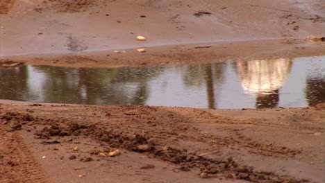 reflejos de personas caminando en un charco de agua en áfrica
