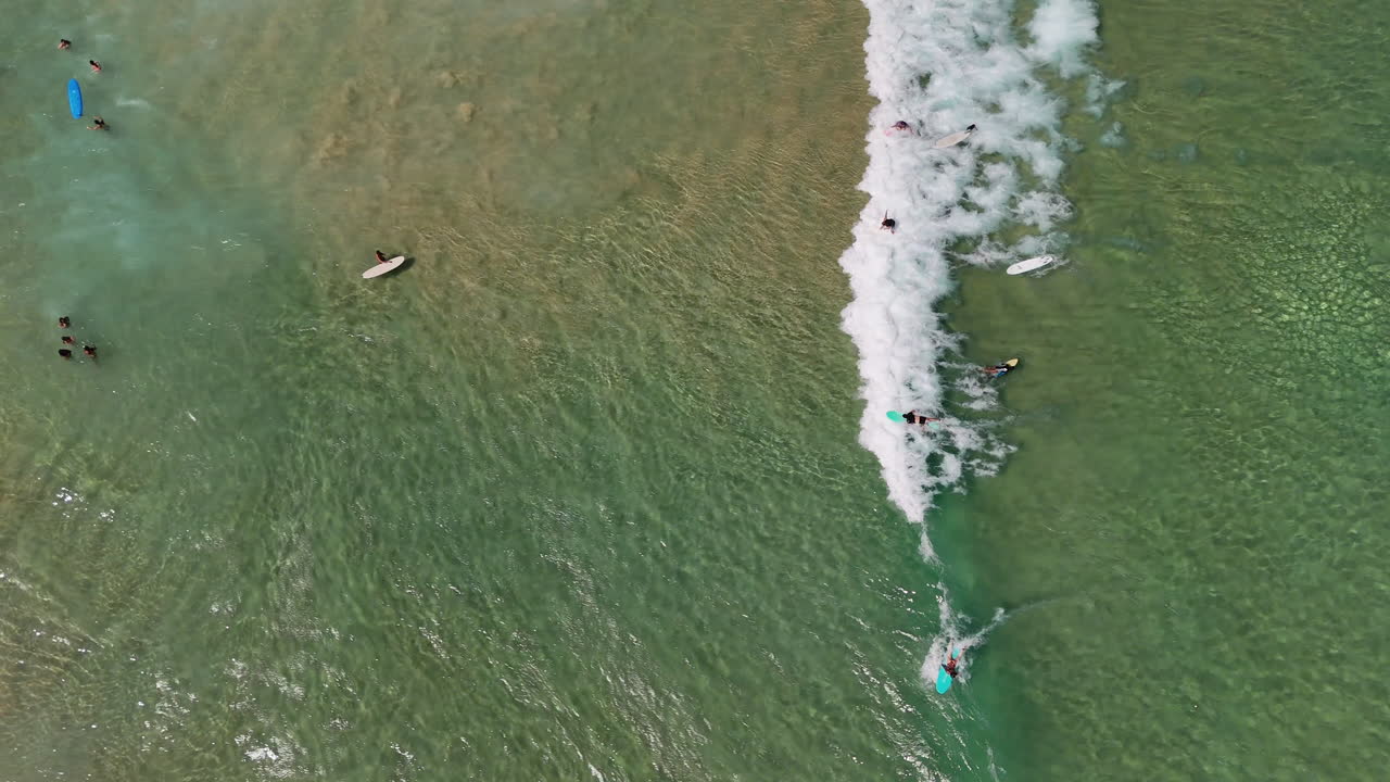 Drone footage of Bondi Beach, capturing surfers enjoying ocean waves. Downward angle aerial footage New South Wales, Australia.