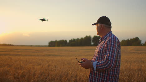 un agricultor adulto mayor con una gorra usa un avión no tripulado para volar sobre un campo de trigo. un agricultor anciano usa un controlador para controlar el avión no tripulado. tecnologías modernas en la agricultura