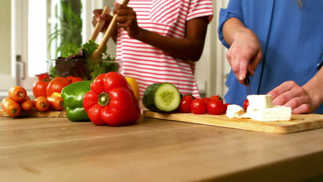 friends preparing a salad