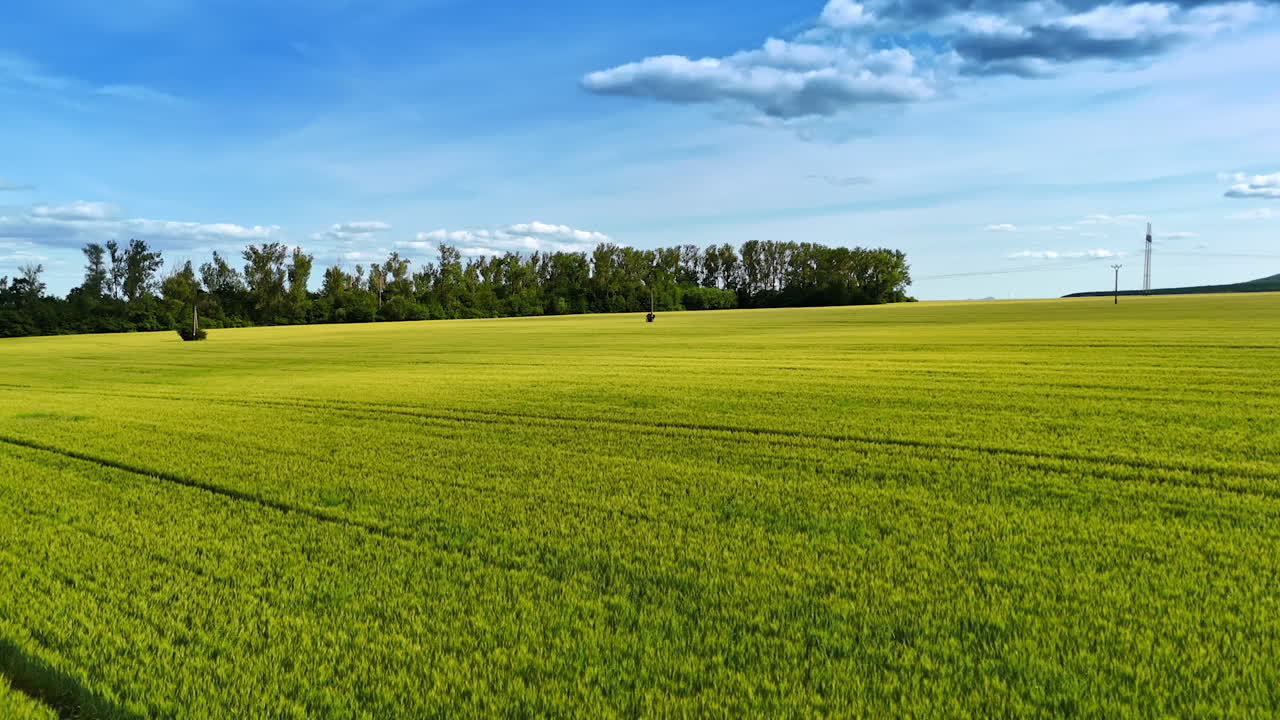 Lush green farmland under a bright sky. Expansive fields of green crops stretch into the distance, with a clear blue sky and scattered clouds overhead
