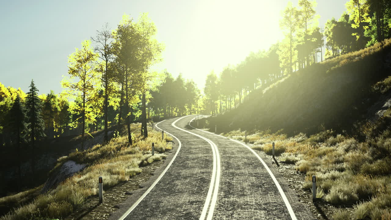 Serene winding road through a sunlit forest landscape at dawn