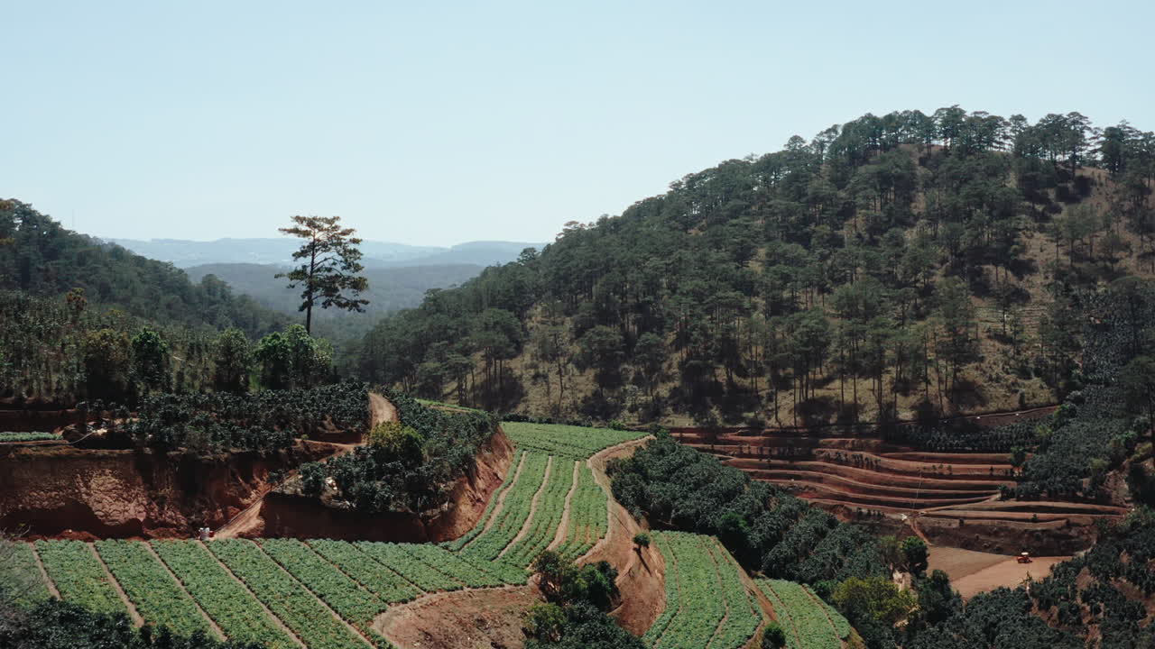 Aerial Shot of Terraced Landscape in Vietnam