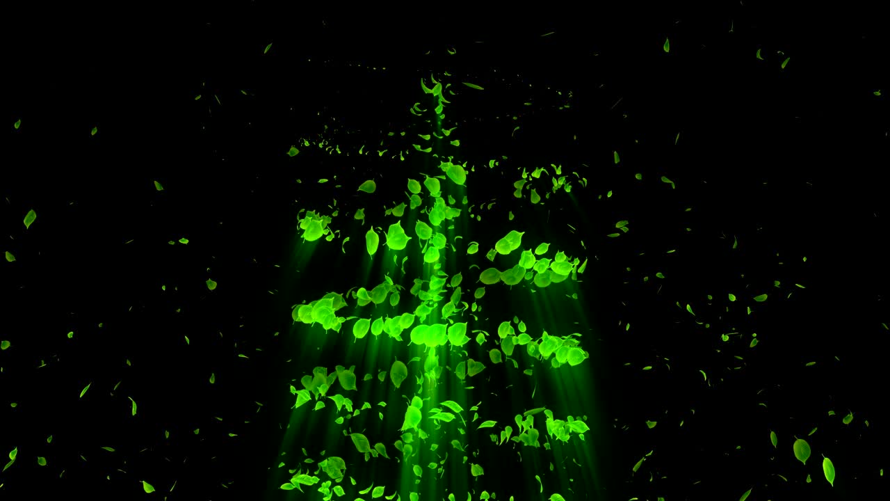 vórtice de hojas verdes. espiral partícula brillante de hojas estacionales. hoja danzante. colorida animación de bucle de túnel de la naturaleza.