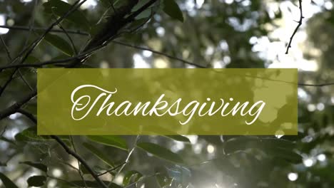 Animation-of-thanksgiving-text-on-green-banner-over-trees