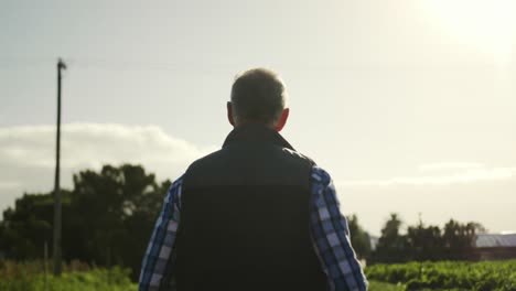 Mature-man-working-on-farm