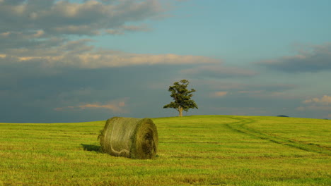 Ein-Hügel-Mit-Einem-Verlassenen-Baum-Während-Des-Tages-Mit-Blick-Auf-Einen-Stapel-Heu-Oder-Stroh-Und-Blick-Auf-Sich-Bewegende-Wolken-Und-Die-Umliegende-Natur-Panorama-Landschaftsansicht-In-4k-60fps-Aufnahme