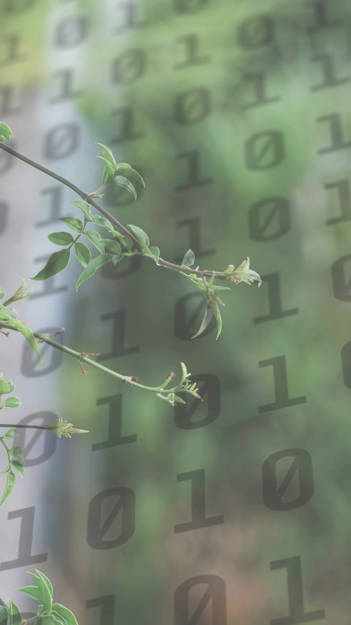 Vertical video: On play, branch shifting focus, code overlay staying, linking nature and data