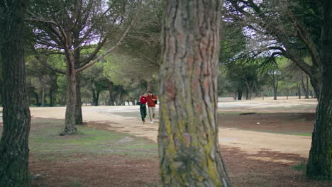 una pareja romántica caminando por el bosque un día de otoño tranquilo una pareja activa caminando por un camino del parque