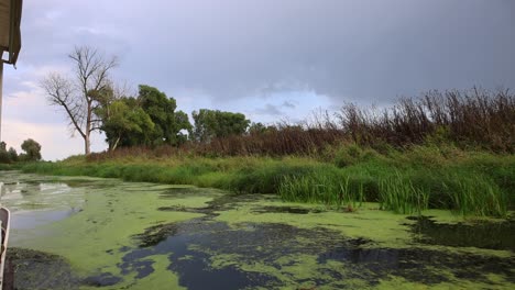 orilla del río oder en la frontera entre polonia y alemania, vista desde un barco