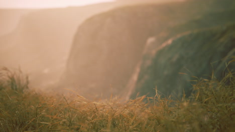 golden-rocks-and-grass-in-mountains