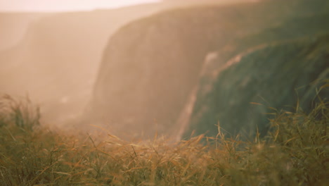 golden rocks and grass in mountains