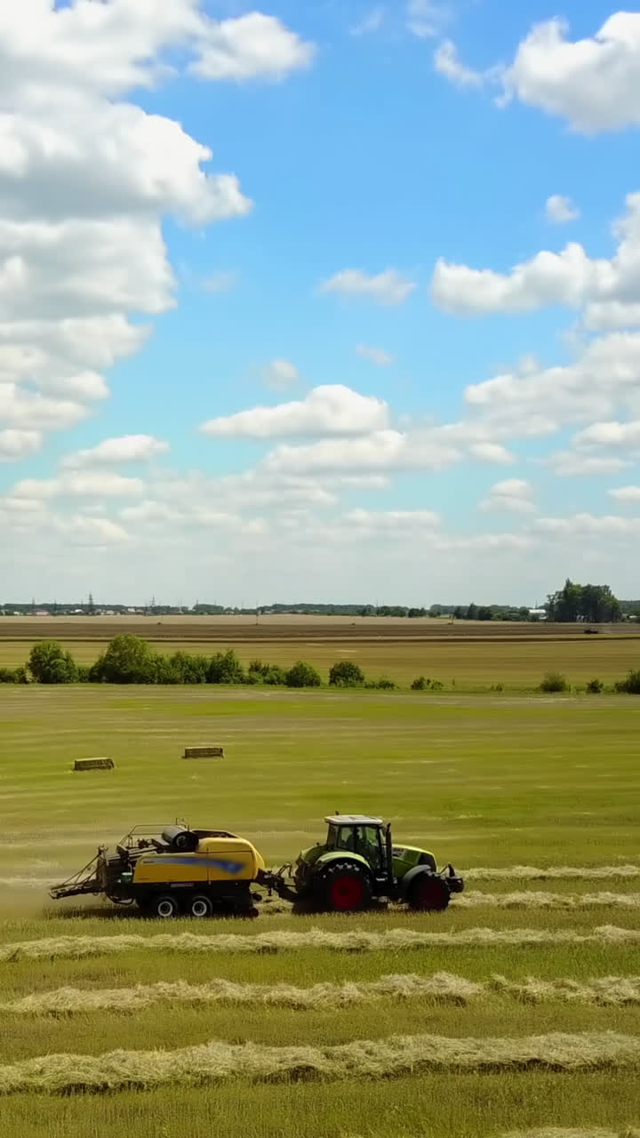 Tractor Collecting Straw. Big tractor collects dry hay on the farm field at sunny day Vertical video