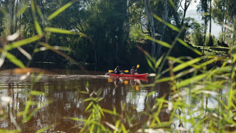 couple, teamwork and rowing in kayak on lake