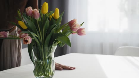 caucasian woman putting fresh tulips in the vase on the table.