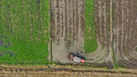 Draufsicht-Auf-Einen-Traktor,-Der-Auf-Einer-Reisfarm-In-Nagua,-Dominikanische-Republik,-Arbeitet-–-Luftaufnahme,-Statisch