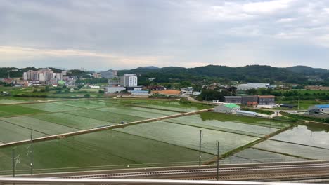 Beautiful-landscape-of-South-korea-with-flooded-rice-field-and-mountains-during-cloudy-day---pov-train-ride