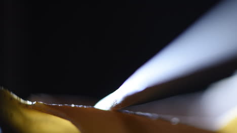 real time spore release from a cup fungus after being poked with a stick