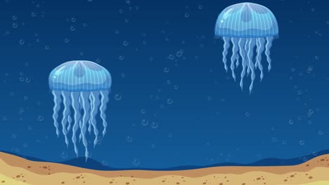depicts stages of jellyfish life cycle