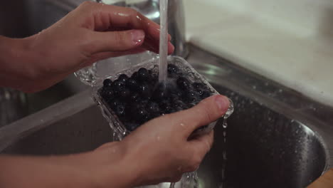 woman washes blueberries under tap water