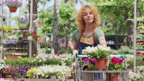 woman shopping for flowers at a garden center
