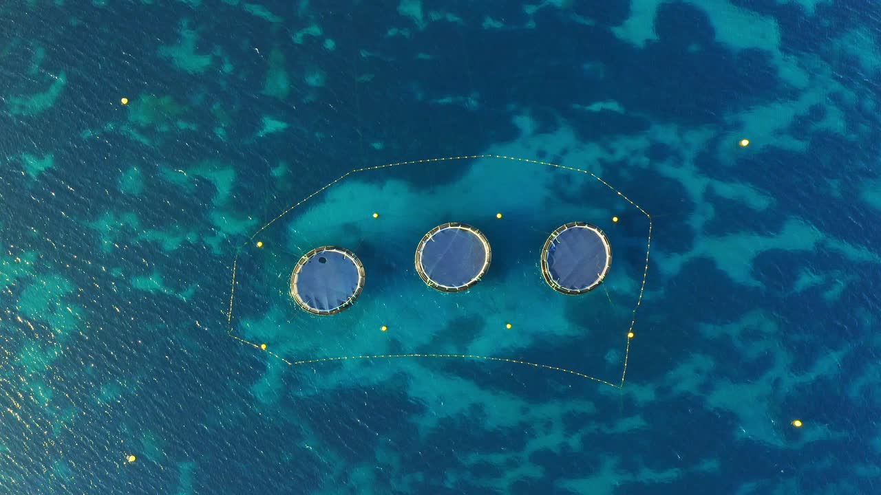 지중해에 있는 나무 농장의 고리들 (aerial top view, 말타)