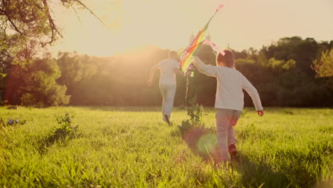 The-boy-launches-a-kite.-Summer-day.-Sunny.The-boy-in-a-gray-t-shirt-with-a-kite.-A-boy-of-European-appearance-on-the-field.-Clouds-sky-summer.-Bright