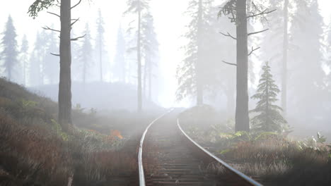 empty railway goes through foggy forest in morning