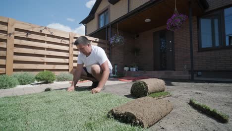 roll of new natural grass turf installed by professional gardener. landscaping industry.