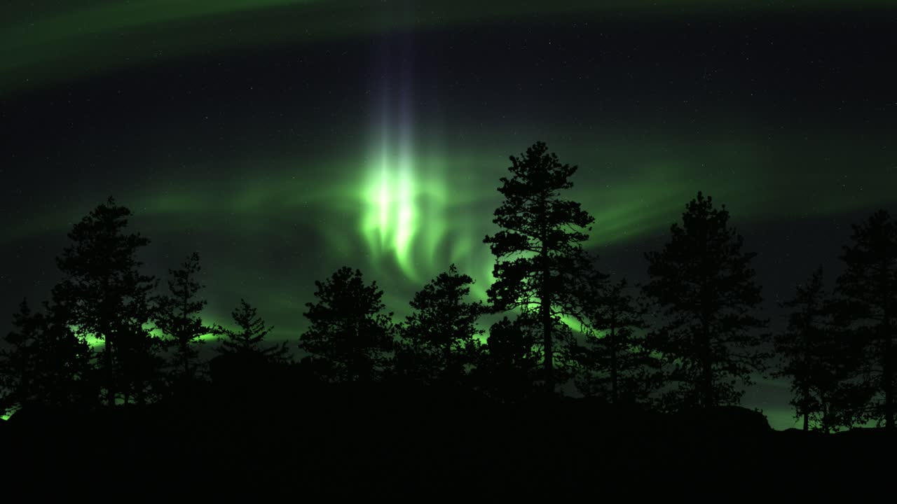 siluetas de árboles iluminadas con luces verdes danzantes de aurora boreal