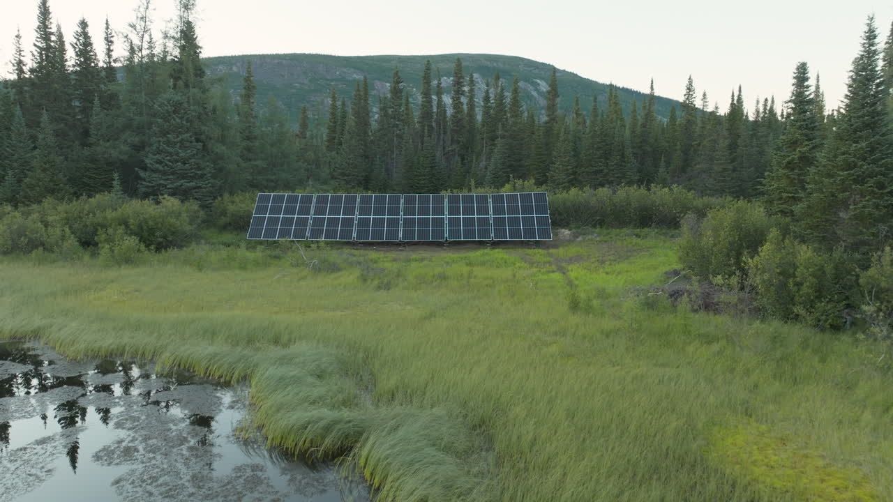 потрясающий снимок с воздуха с видом на ряд солнечных батарей посреди леса